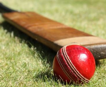 Raigarh woman cricket News :