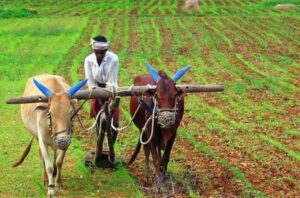 farmers : इस राज्य में किसानों को मिलते हैं 5 लाख रुपये, जानिए कैसे?