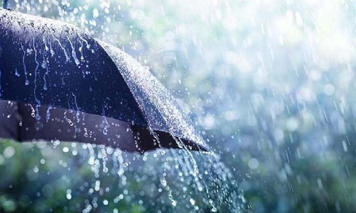 Rain In Chhattisgarh : अगले 48 घंटे प्रदेश के इन हिस्सों में बारिश का अनुमान