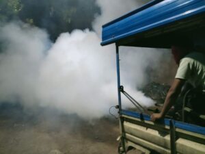 Read more about the article Mosquitoes in the township : टाउनशिप में मच्छरों की बढ़ती संख्या और डेंगू के खतरों से निपटने के लिए धुवाँ गाड़ी से किया जायेगा फागिंग