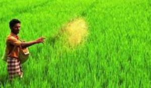 Read more about the article Modi cabinet मोदी कैबिनेट ने दी किसानों को बड़ी राहत