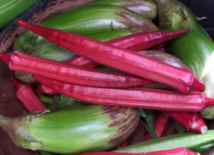 Read more about the article 2022- Super Food ‘Lal Bhindi’ सुपर फूड ‘लाल भिंडी’, करेगा हाई ब्लड प्रेशर कम