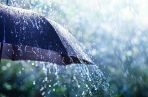 Read more about the article Average Rainfall Recorded : छत्तीसगढ़ में अब तक 904.5 मि.मी. औसत वर्षा दर्ज