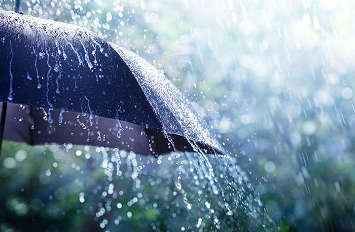 Average Rainfall Recorded : छत्तीसगढ़ में अब तक 904.5 मि.मी. औसत वर्षा दर्ज