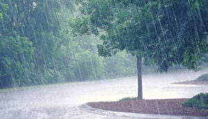 Read more about the article CG Raipur : छत्तीसगढ़ में अब तक 1047.2 मि.मी. औसत वर्षा दर्ज