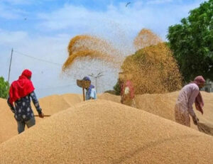 CG Raipur Big Breaking News : 31 अक्टूबर से पहले यह काम नहीं किया तो किसान समर्थन मूल्य पर नहीं बेच सकेंगे धान...पढ़िये पूरी खबर