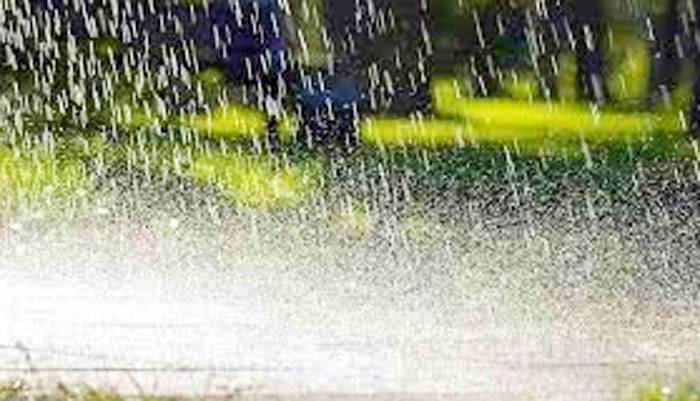 Chhattisgarh Average Rainfall : छत्तीसगढ़ में अब तक 1085.4 मि.मी. औसत वर्षा दर्ज