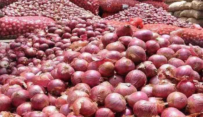 Onion Price : दूध के बाद अब प्याज रोने को तैयार, कुछ ही दिनों में कीमत पहुंच जाएगी ₹50 किलो