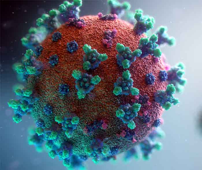 Corona virus : कोरोना से मरने वालों की संख्या में इजाफा, पिछले 24 घंटे में तीन हजार से ज्यादा केस, एक्टिव मरीज 36 हजार के पार
