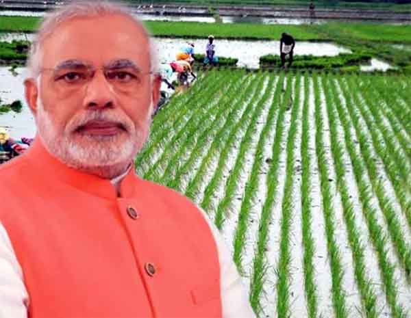 Prime Minister Narendra Modi : किसान खुले दिमाग से खेती में तकनीक का ज्यादा से ज्यादा इस्तेमाल करें, पीएम मोदी