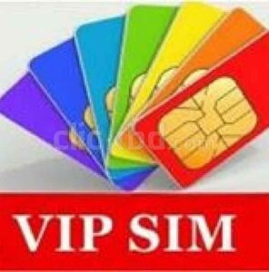 VIP Sim Card : यूनिक फोन नंबर के लिए पैसे खर्च करने की जरूरत नहीं, कंपनी सीधे आपके घर भेज देगी...जानिए कैसे