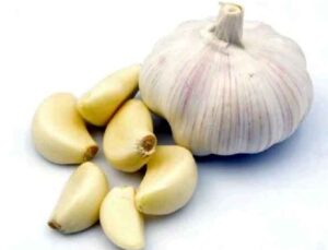 Benefits OF Garlic : खाली पेट कच्चा लहसुन खाना क्यों फायदेमंद है? जानिए