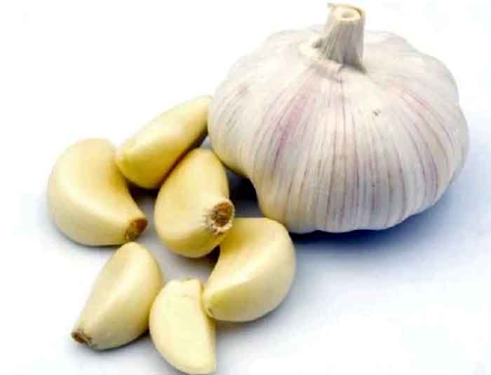 Benefits OF Garlic : खाली पेट कच्चा लहसुन खाना क्यों फायदेमंद है? जानिए