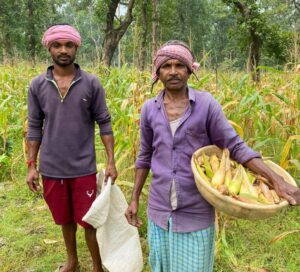 Read more about the article CG NEWS : मक्के की खेती से आर्थिक रूप से सशक्त हुआ सालिक राम ध्रुव का परिवार