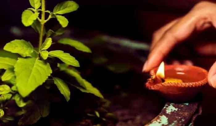 Coming Diwali 2022 : दीपावली तक करें तुलसी का यह उपाय, श्री हरि के साथ बनी रहेगी मां लक्ष्मी की कृपा