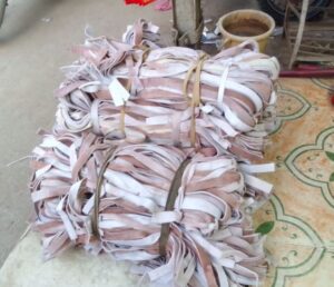 Read more about the article Bhatapara news दरी क्लॉथ से बनी रस्सियों की कीमत में तेजी के आसार