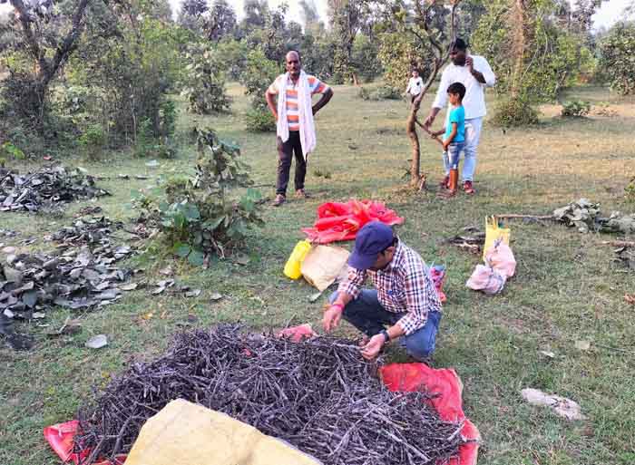 Raipur 10 November 2022 : राज्य में कृषकों को बीहन लाख उपलब्ध कराने पर्याप्त प्रबंध