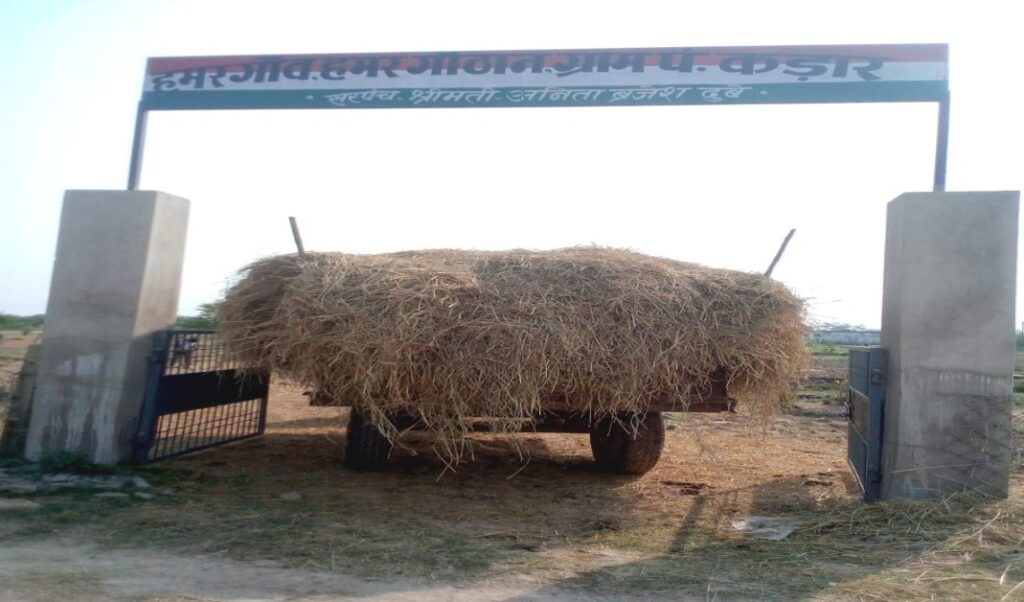 CG Bilaspur 25 November : मुख्यमंत्री के आव्हान पर जिले के गोठानों में व्यापक पैमाने पर किसान कर रहे हैं पैरादान