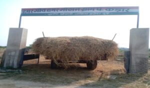 Read more about the article CG Bilaspur 25 November : मुख्यमंत्री के आव्हान पर जिले के गोठानों में व्यापक पैमाने पर किसान कर रहे हैं पैरादान
