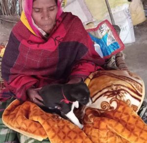 UP Badaun News : 65 साल की उम्र में महिला ने दिया कुत्ते के पिल्ले को जन्म, वीडियो वायरल