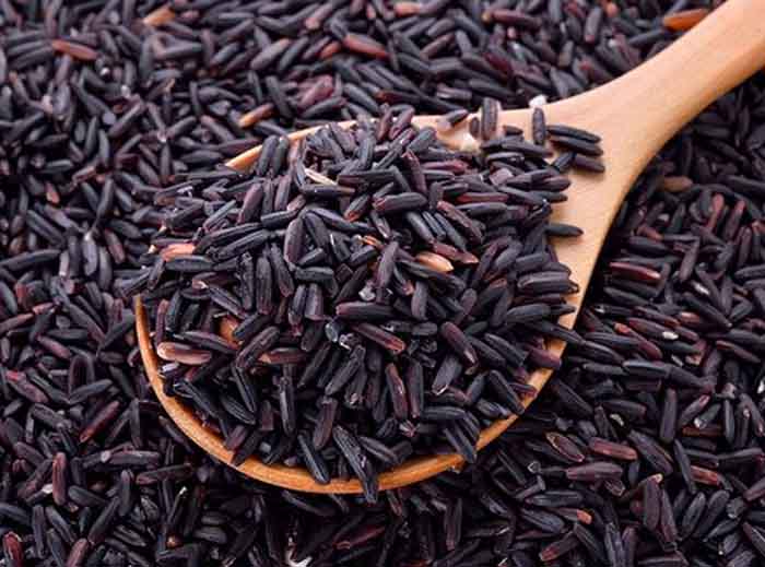 Black Rice : काले चावल के इस उपाय से बदल जाएगी आपकी किस्मत, नौकरी और करियर में आ रही रुकावटें होंगी दूर