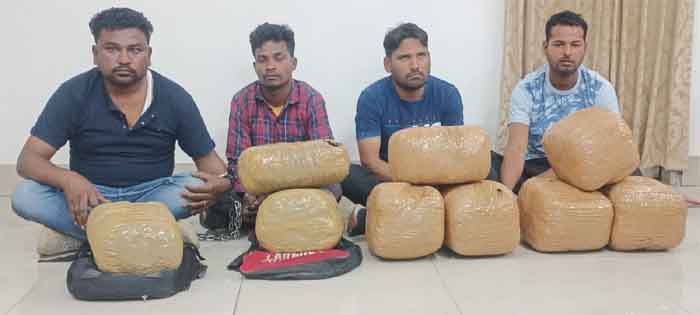 CG Raipur : 49 किलो गांजा के साथ 4 तस्कर गिरफ्तार, प्रकरण में अब तक 136.5 जप्त