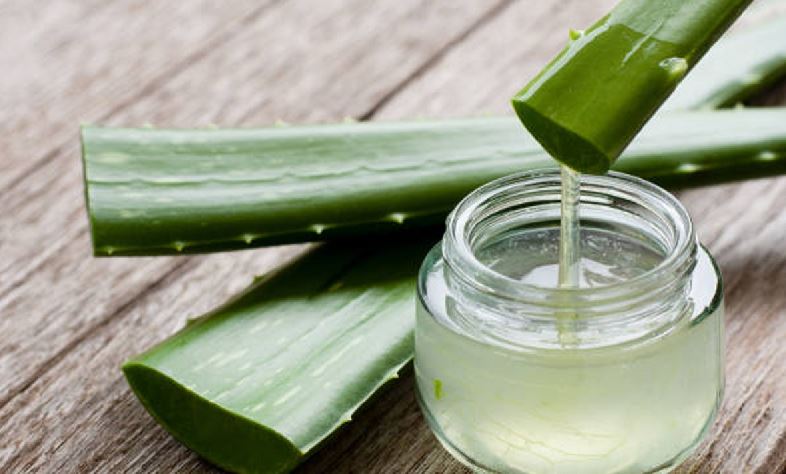 You are currently viewing Aloe vera juice एलोवेरा जूस का रोजाना करें सेवन, मिलेंगे ये 5 प्रमुख फायदे