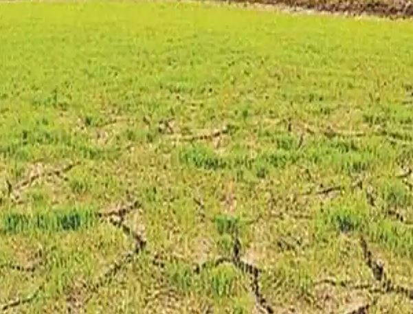 Drought again in Jharkhand