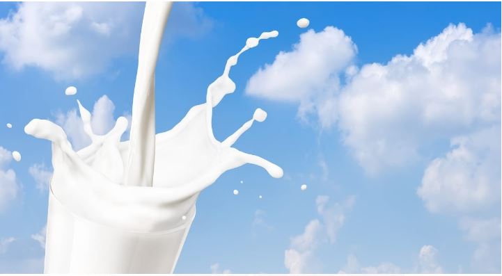 Milk production