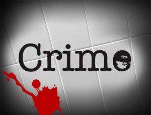 Read more about the article New Crime Trends : प्यार, फिर हत्या की साजिशें और लाशों के टुकड़े…अपराध के इस नए चलन से लोग दहले
