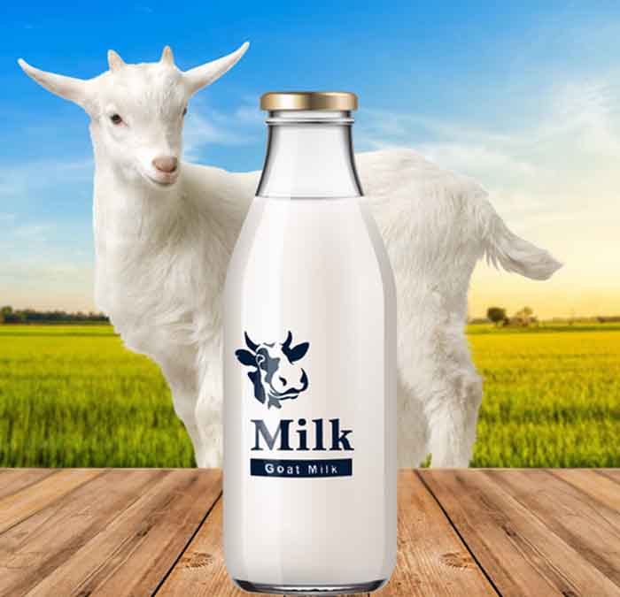 Benefits Of Goat Milk : कभी 100 रुपये लीटर खरीदने पर मजूबर थे लोग, कोरोना के खिलाफ बड़ा असरदायक है ये दूध
