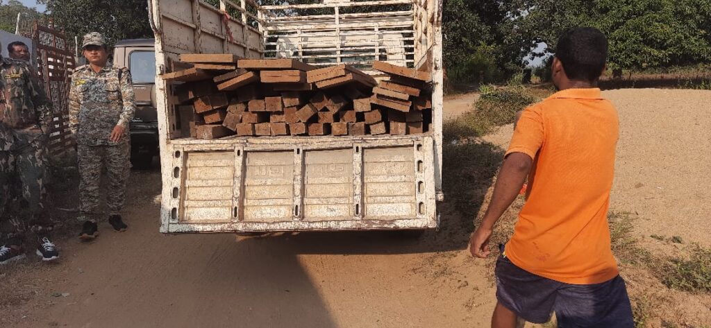 Dantewada News : लकड़ी माफियाओं के ठिकानों पर छापा, सागौन का जखीरा जब्त