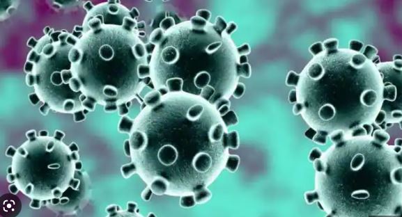 Global pandemic corona virus :