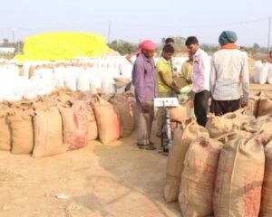 Read more about the article Chhattisgarh News : छत्तीसगढ़ में समर्थन मूल्य पर धान खरीदी का आज आखरी दिन