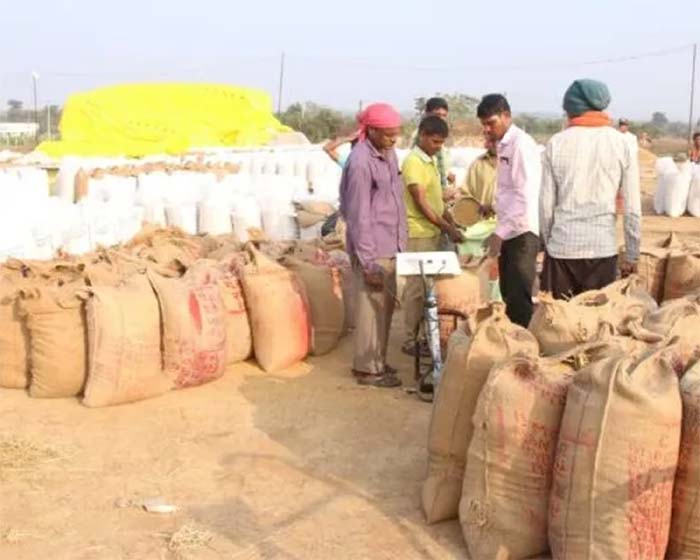 Chhattisgarh News : छत्तीसगढ़ में समर्थन मूल्य पर धान खरीदी का आज आखरी दिन