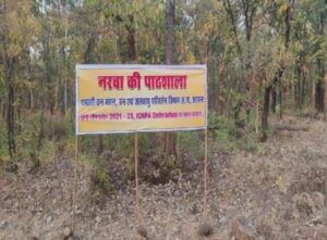 Read more about the article (Indian Forest Service) भारतीय वन सेवा के प्रशिक्षु अधिकारियों ने जिले के वनांचल क्षेत्रों का किया भ्रमण