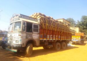 Read more about the article (Purchased Bhanupratappur paddy) किसान व लेम्प्स कर्मचारियों में खुशी : 70 प्रतिशत धान की खरीदी हो गई, उठाव भी तेज
