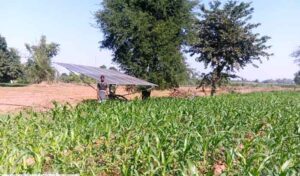 Bastar Kanker : सोलर पंप लगने से किसानों को खेती करने में हो रही है आसानी