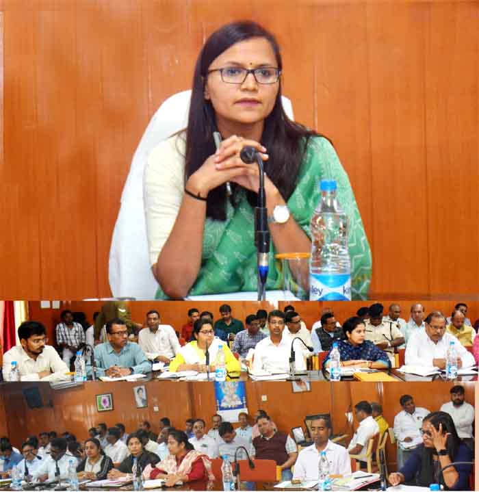 Collector Richa Prakash Chowdhary : समय-सीमा की बैठक में सभी विभागीय अधिकारी साप्ताहिक प्रगति रिपोर्ट के साथ होवे उपस्थित - कलेक्टर
