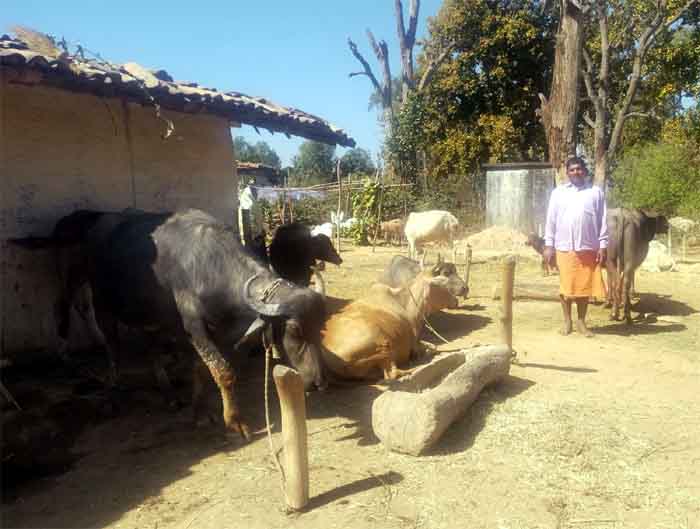 Baikunthpur Today News : आजीविका से विकास की ओर बढ़ते मनरेगा श्रमिक रमेश कुमार, प्रोजेक्ट उन्नति से खुले रास्ते