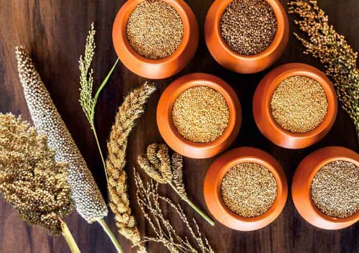 Mahasamund Chhattisgarh : रागी उत्पादन से किसानों को होगी लाखों की कमाई, बाजारो में बढ़ रही है मोटे अनाज की मांग