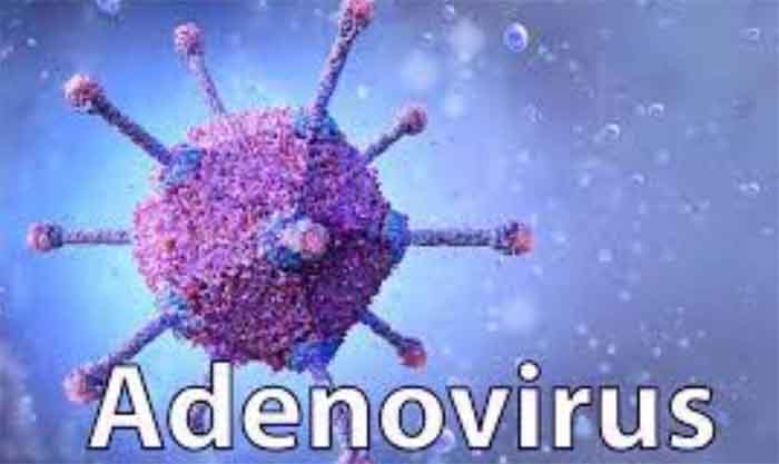 Adeno Virus : कोरोना के बाद अब इस वायरस ने दी दस्तक, 5 बच्चों की मौत...