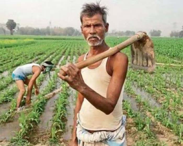 Kisan Samman Nidhi : फंस सकती है इन 85 हजार लोगों की किसान सम्मान निधि, जानिए क्यों?