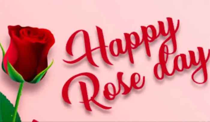 Happy Rose Day 2023 : आज से वैलेंटाइन वीक की शुरुआत...रोज डे पर ये मैसेज भेजकर करें अपने प्यार का इजहार.....
