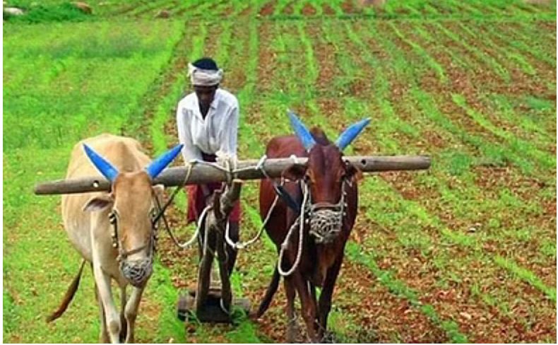  (Chhattisgarh Progressive Farmers Organization)