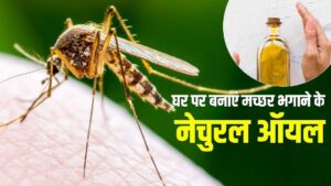 Read more about the article Helth latest news : मच्छर के काटने से बचने के लिए घर पर बनाएं मॉस्किटो स्प्रे