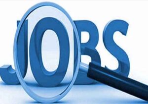 Jobs In Transport Department : परिवहन विभाग में निकली नौकरियां...जल्द करे आवेदन