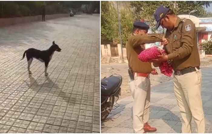 MP Indore News : 5 दिन के नवजात का शव मुंह मे लेकर घूमता रहा था कुत्ता...जांच के बाद पुलिस भी रह गई सन्न