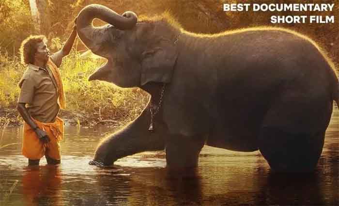 Oscar Award 2023 : ऑस्कर में बजा भारत का डंका...द एलिफेंट व्हिस्परर्स’ ने जीता बेस्ट शॉर्ट डॉक्यूमेंट्री का अवार्ड