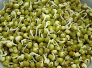 Benefits Of Sprouts : मुंग के अंकुरित दाने आपको रखेंगे तंदरुस्त.....
